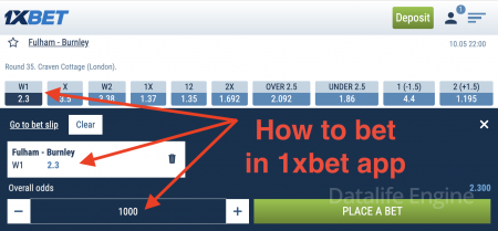 How to bet in the 1xbet app from your phone